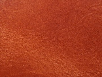 プリマヴェーラ・コニャック 06