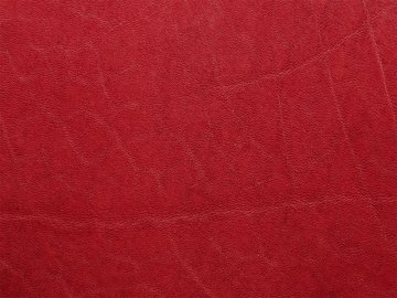 プリマヴェーラ・レッド11