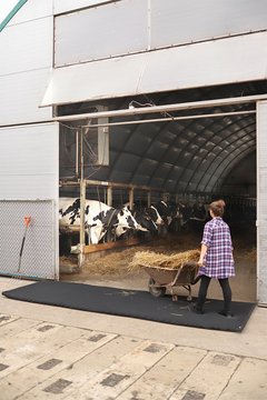 Mata dezynfekcyjna przejazdowa 120x400x4cm 136708701